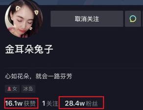 圈内人爆料娱乐圈的小说,娱乐圈幕后风云录  第1张